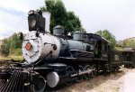 Denver & Rio Grande 2-8-0 583